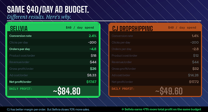 sellvia-vs-cj-real-profit-comparison